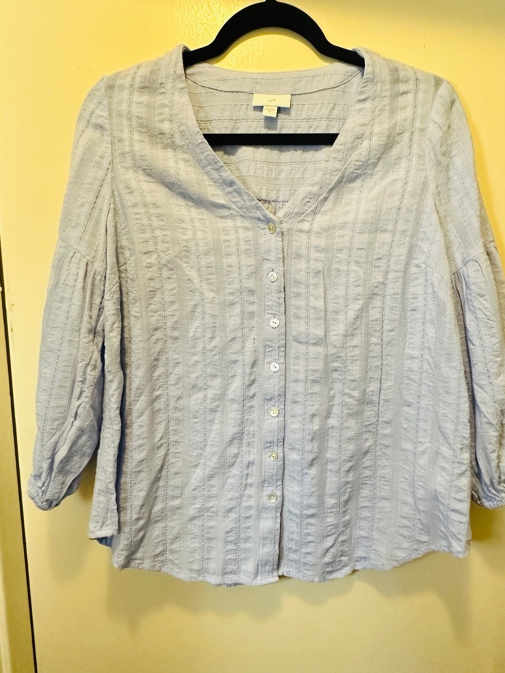 J. Jill Pale Blue Button-Front Textured Women's Shirt